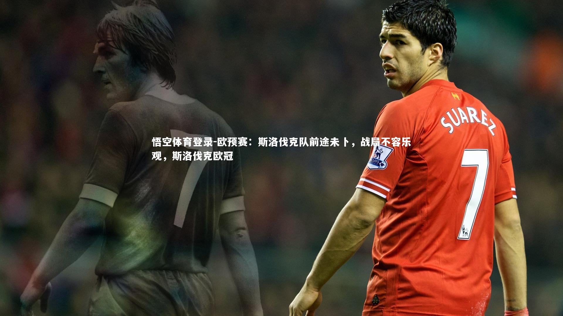 欧预赛：斯洛伐克队前途未卜，战局不容乐观，斯洛伐克欧冠